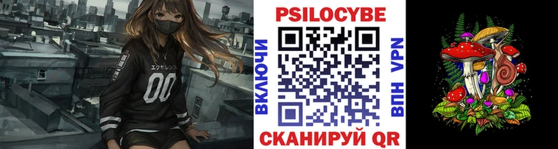 гидра как войти  наркошоп  Томмот  Псилоцибиновые грибы Psilocybine cubensis 