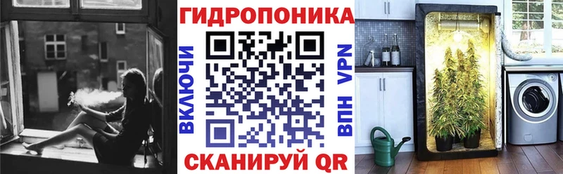 Канабис OG Kush  Томмот 